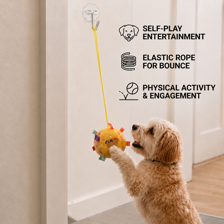 Interactive Hanging Dog Ball Toy with Elastic Play Rope &amp; Hook
