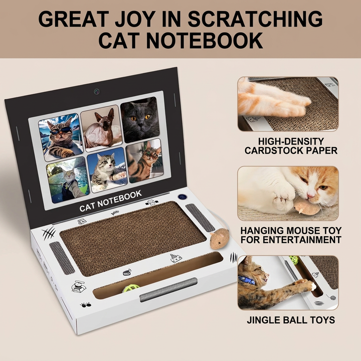 Cardboard Laptop Cat Scratcher &amp; Interactive Toy