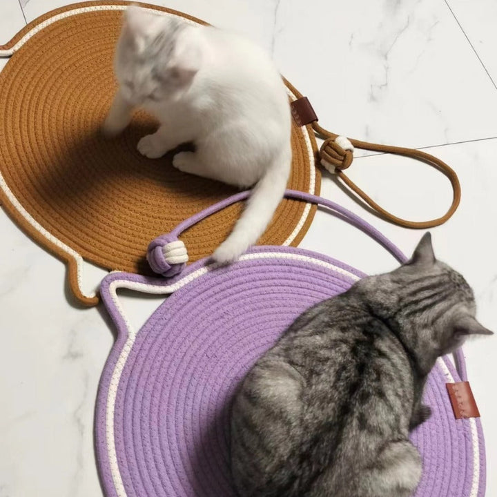 Cat Scratching Toy Carpet