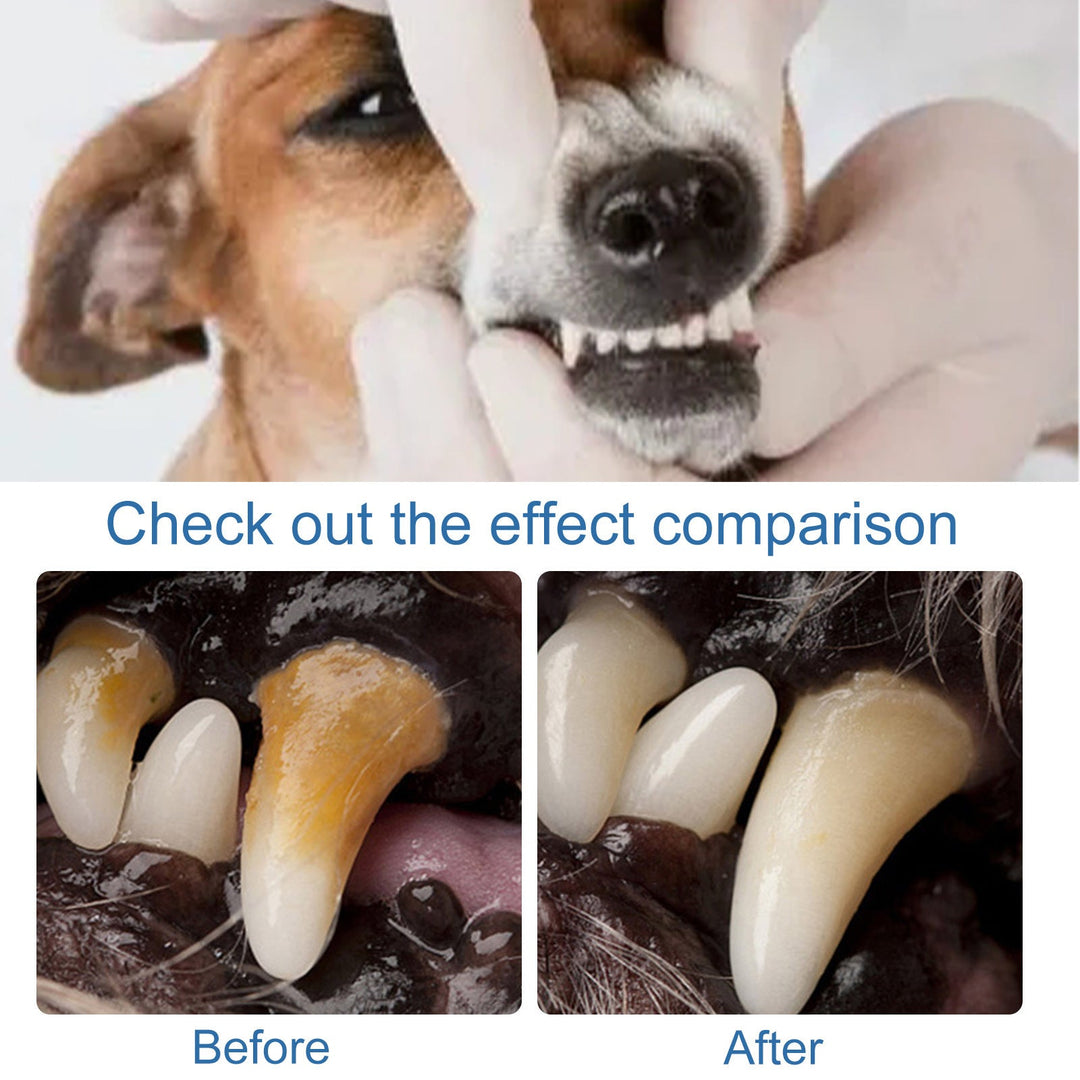 Dog Dental Cleaning Foam – Brighter Teeth &amp; Fresh Breath