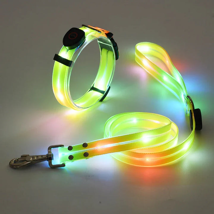 LED Dog Collar with Leash – NightBright