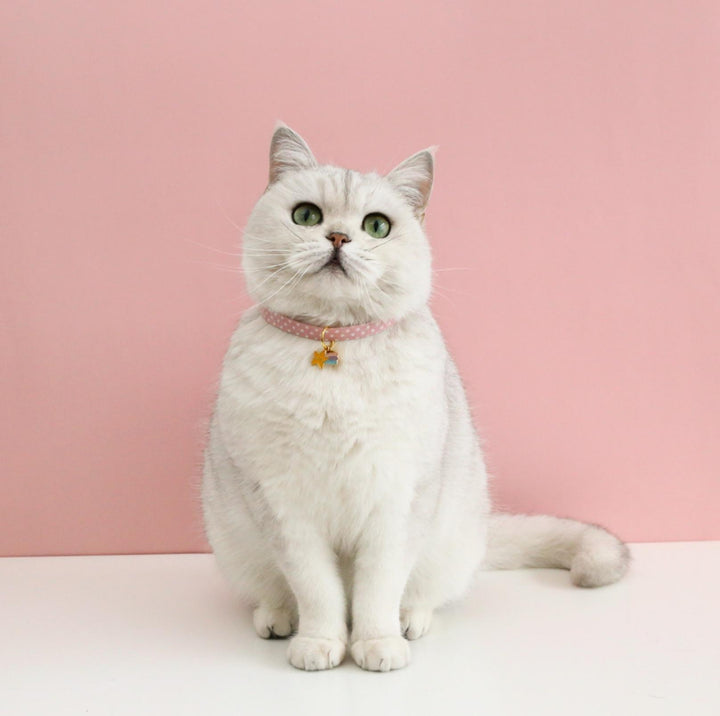 Adjustable Pet Collar with Lovely Charm and Copper Bell for Cats and Small Dogs