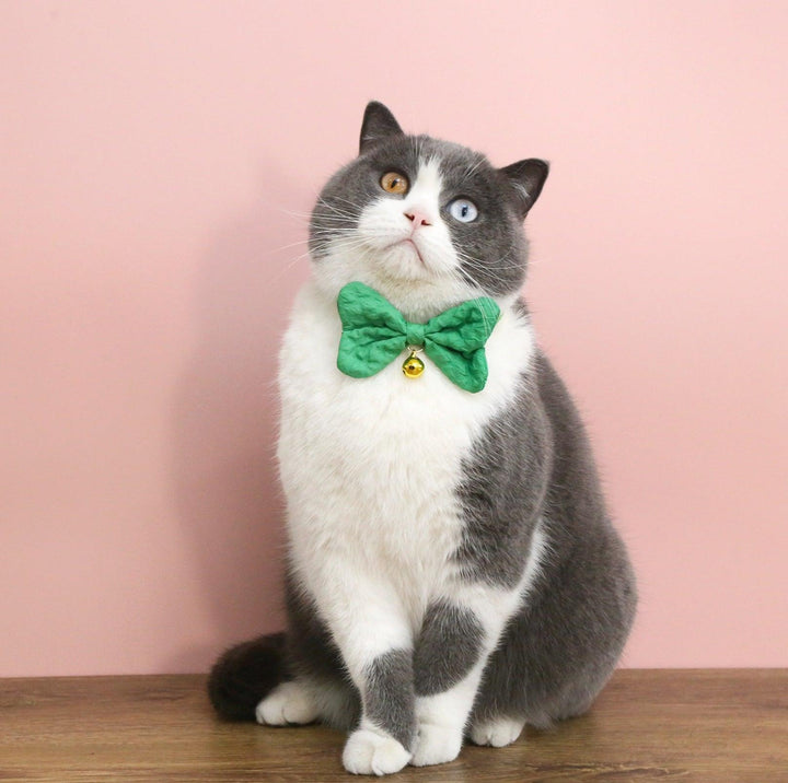 Candy-Colored Denim Bowtie Adjustable Pet Collar