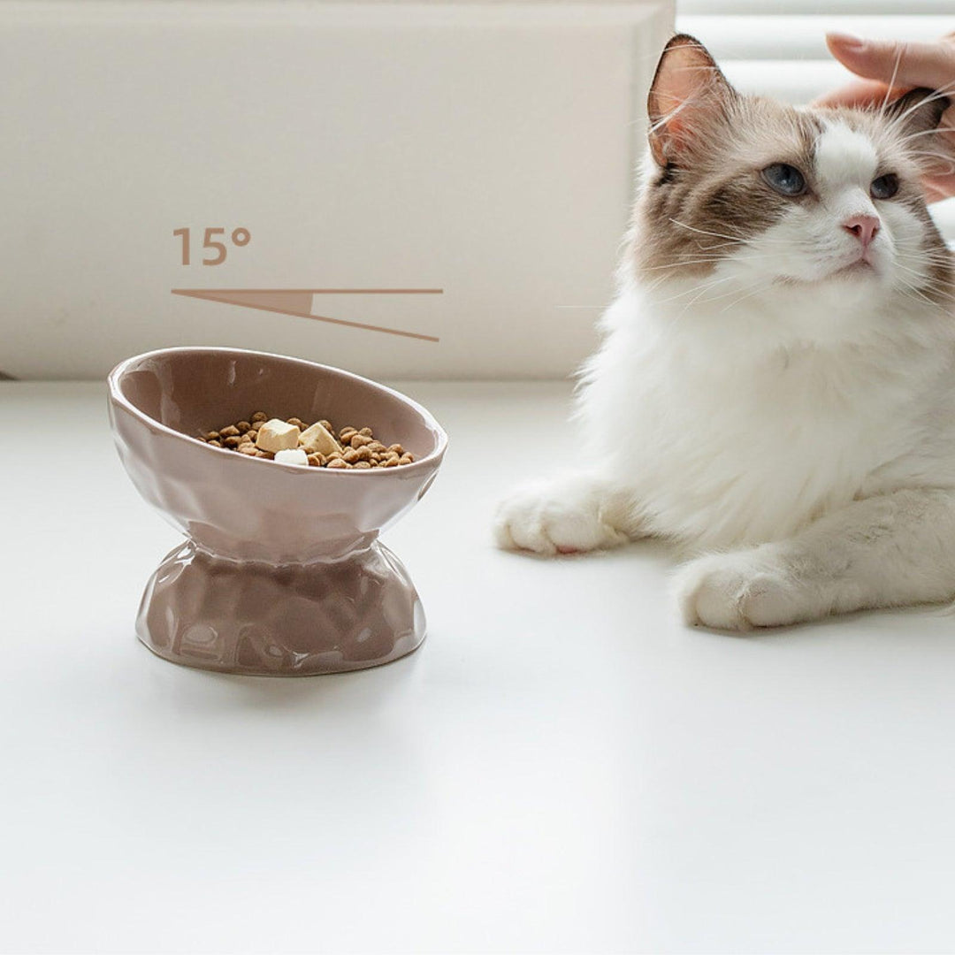 Ceramic Raised Pet Bowl for Cats and Dogs
