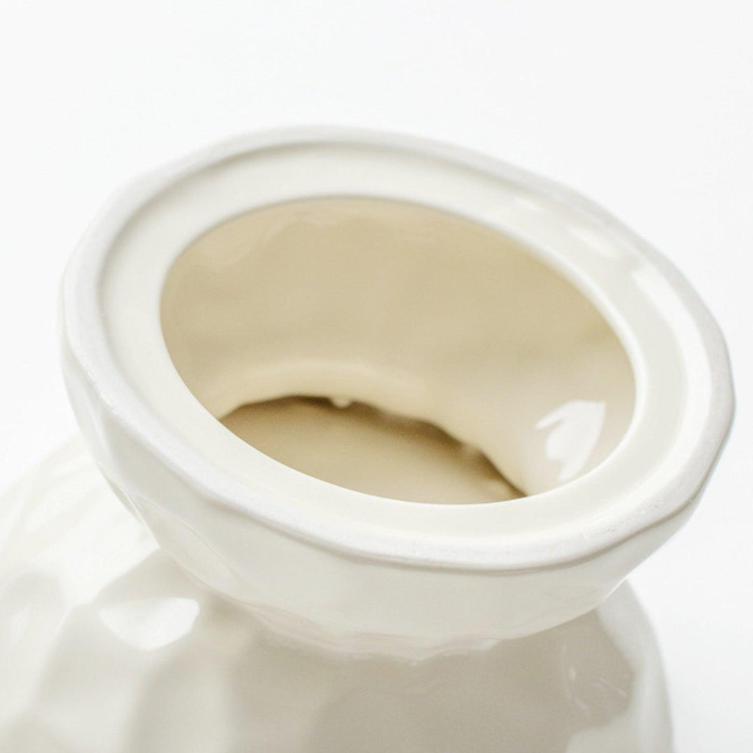 Ceramic Raised Pet Bowl for Cats and Dogs