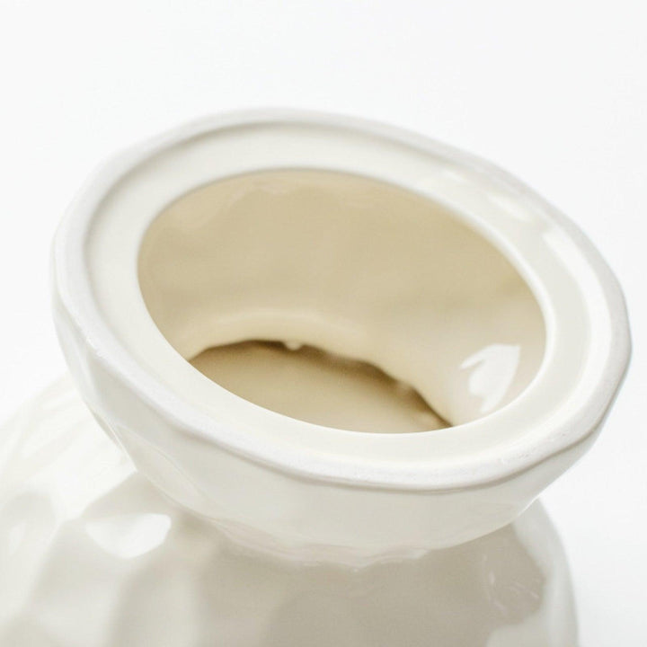 Ceramic Raised Pet Bowl for Cats and Dogs