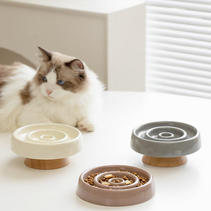 Ceramic Slow Eating Pet Food Bowl for Cats and Dogs