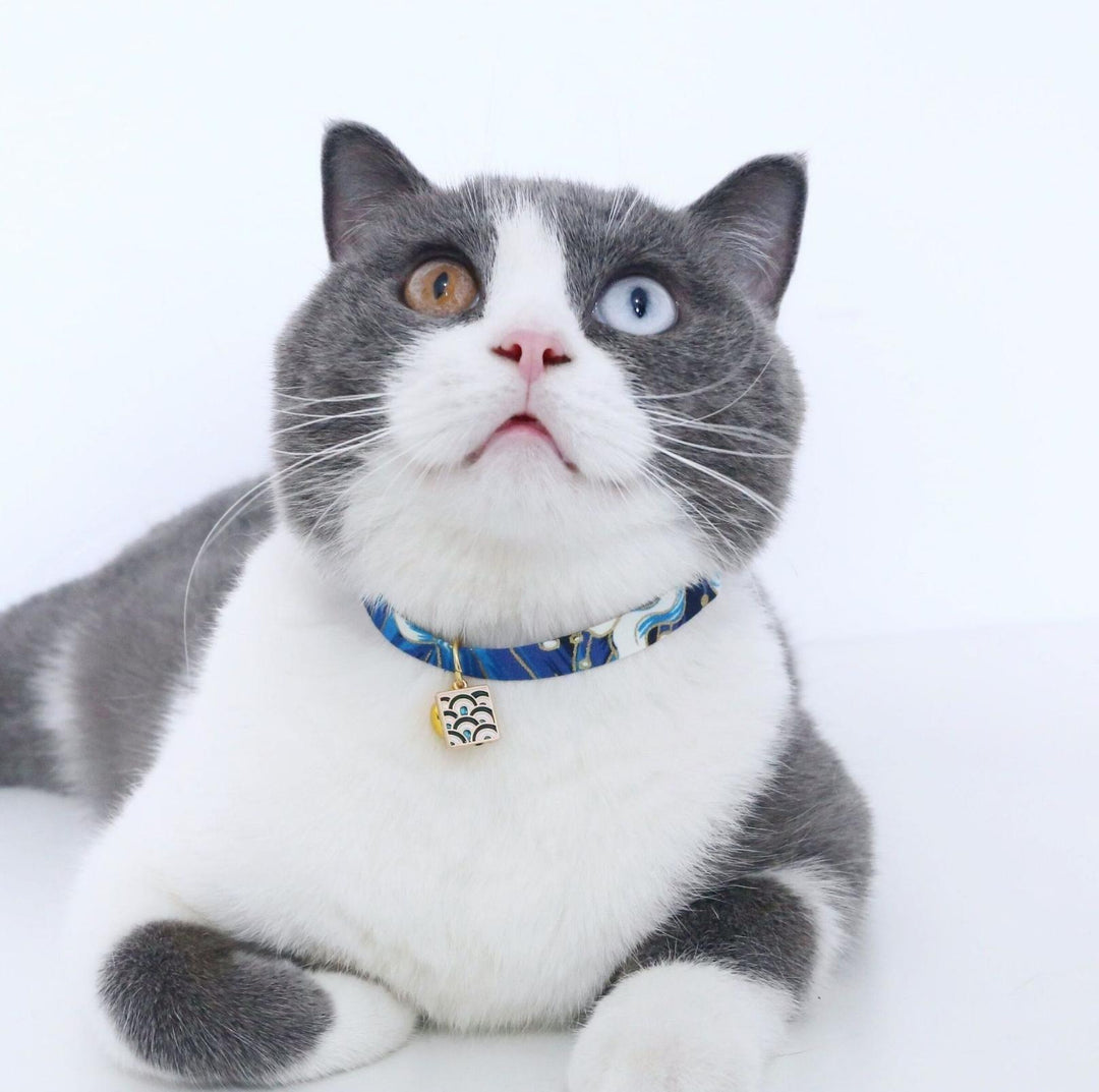 Chinese Style Adjustable Pet Collar with Engraved Pendants and Prints