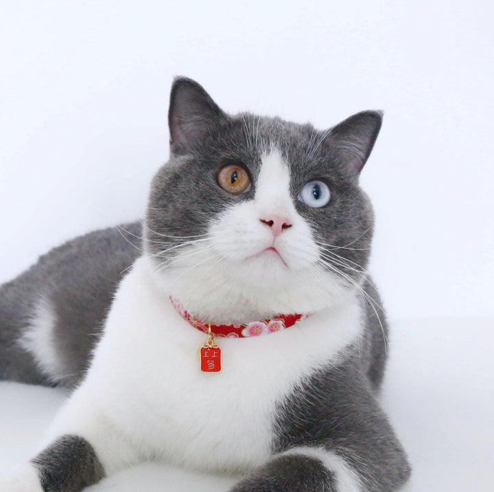 Chinese Style Adjustable Pet Collar with Engraved Pendants and Prints