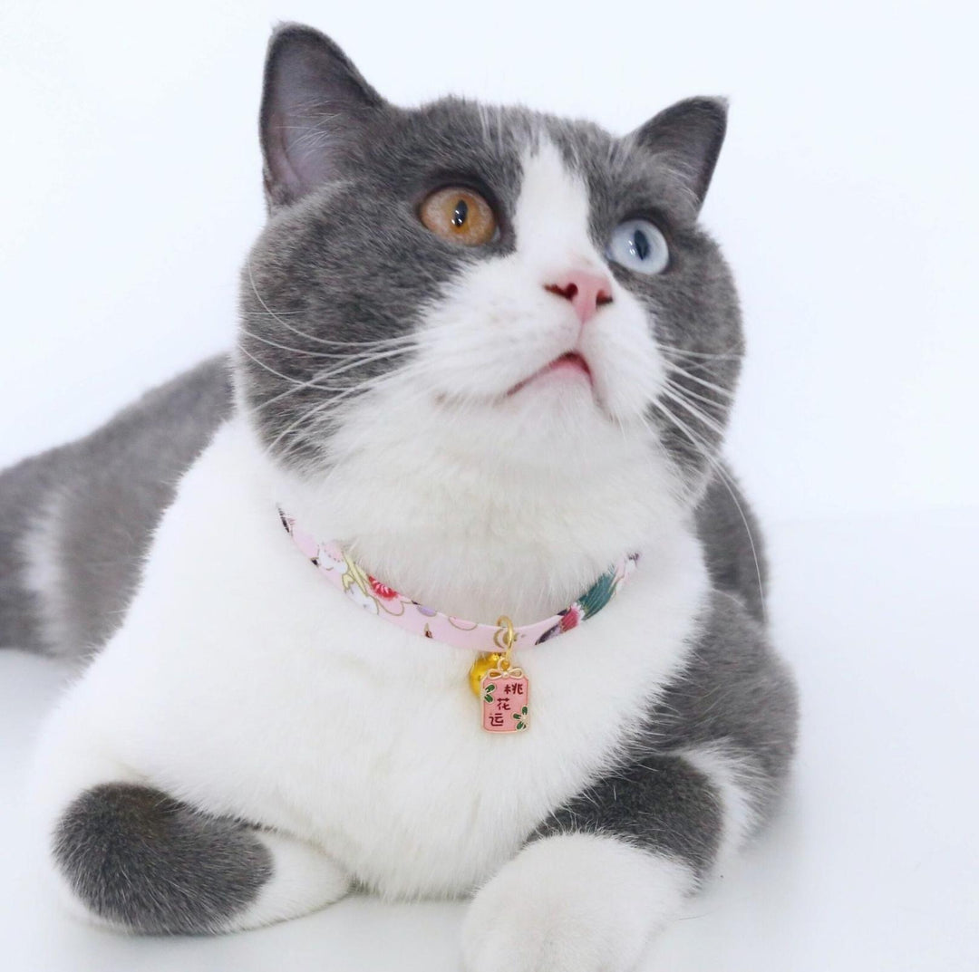 Chinese Style Adjustable Pet Collar with Engraved Pendants and Prints