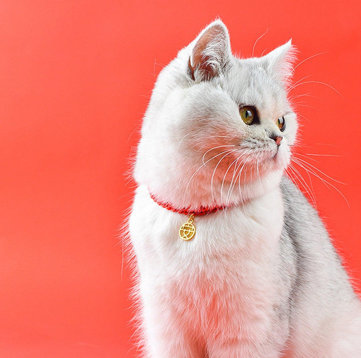 Chinese Style Fortune Pet Collar