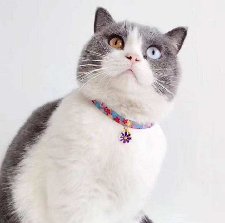 Colourful Daisy Adjustable Pet Collar for Cats and Small Dogs