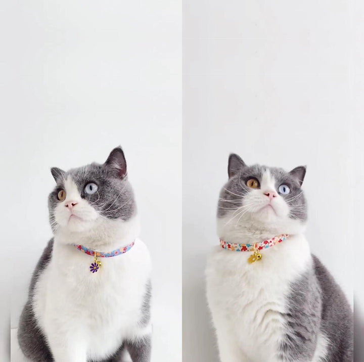 Colourful Daisy Adjustable Pet Collar for Cats and Small Dogs