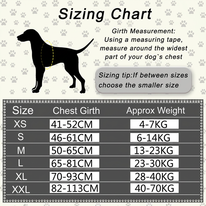 Personalized No-Pull Dog Harness with Front D-Ring – Designed for Neck &amp; Shoulder Relief