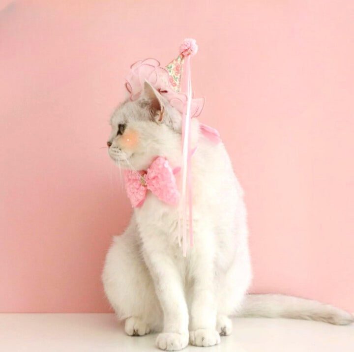 Floral Mesh Lace Accessory Set: Pet Birthday Hat &amp; Bow Tie Combo