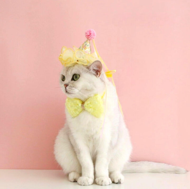 Floral Mesh Lace Accessory Set: Pet Birthday Hat &amp; Bow Tie Combo