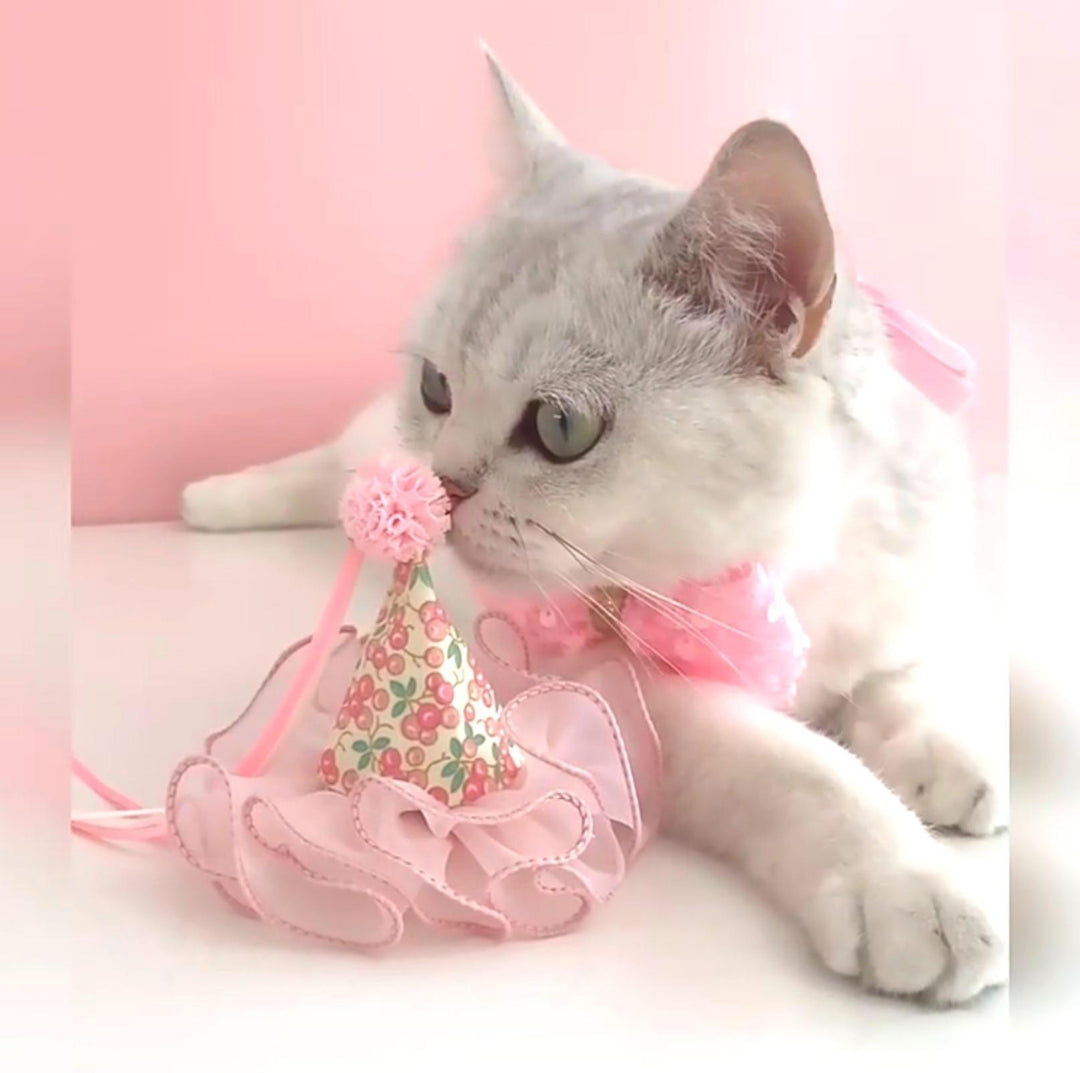 Floral Mesh Lace Accessory Set: Pet Birthday Hat &amp; Bow Tie Combo
