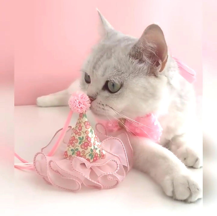 Floral Mesh Lace Accessory Set: Pet Birthday Hat &amp; Bow Tie Combo