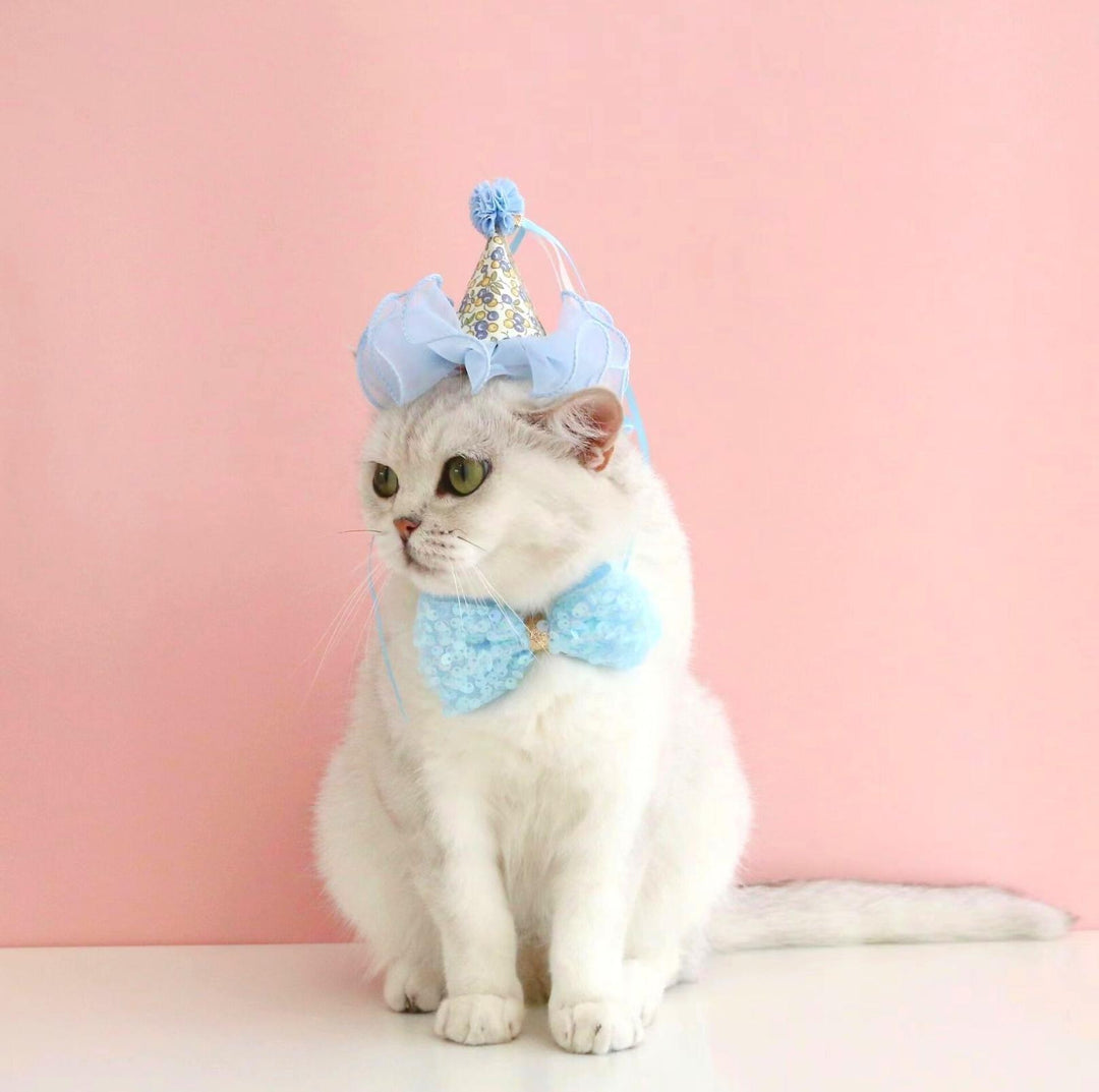 Floral Mesh Lace Accessory Set: Pet Birthday Hat &amp; Bow Tie Combo