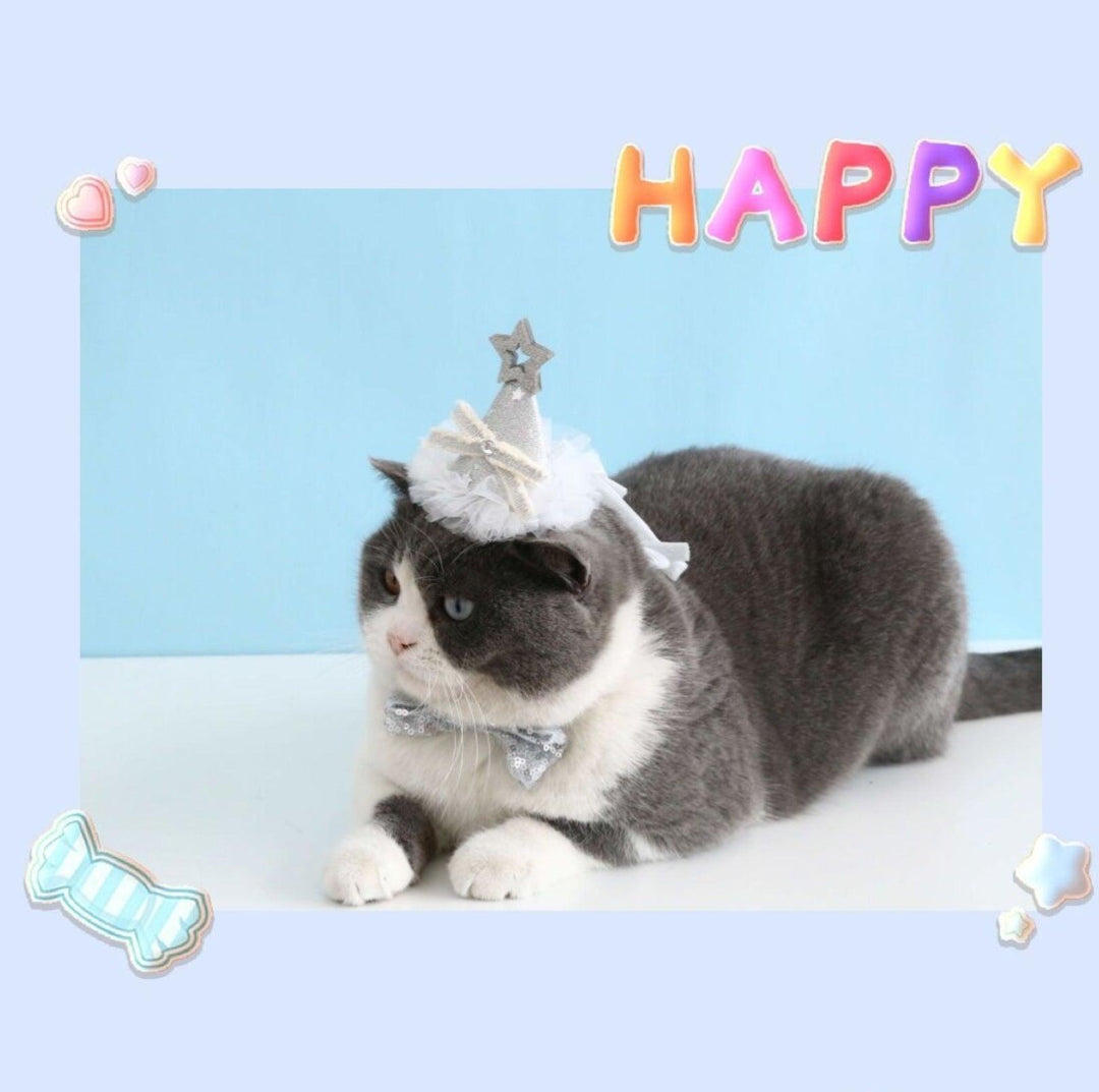 Glitter Birthday Accessory Set for Pets - Hat &amp; Collar