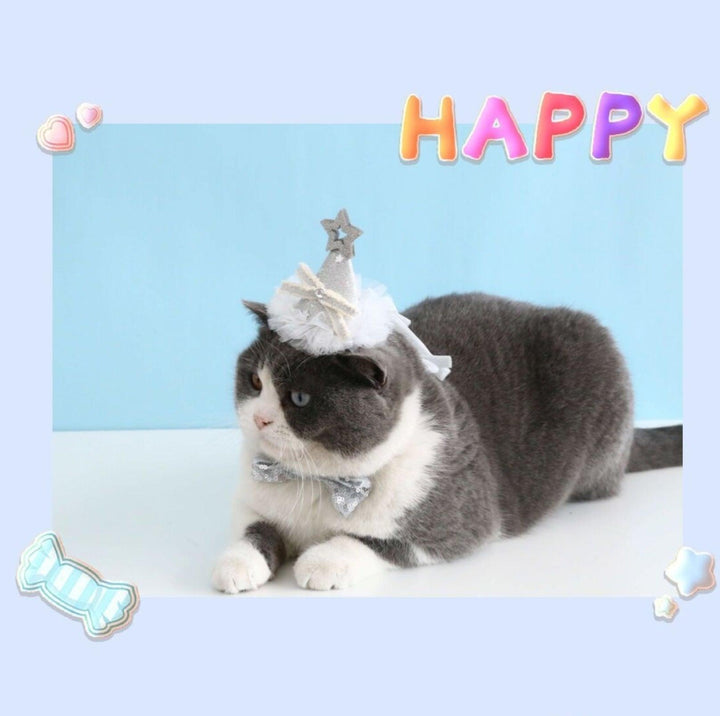 Glitter Birthday Accessory Set for Pets - Hat &amp; Collar