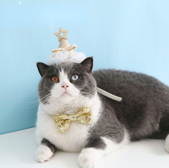 Glitter Birthday Accessory Set for Pets - Hat &amp; Collar
