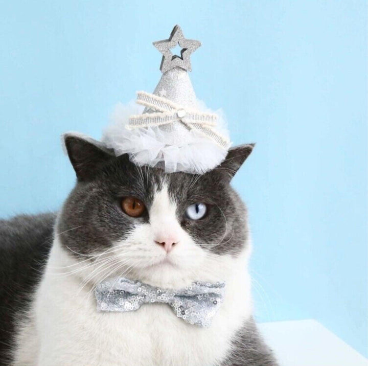 Glitter Birthday Accessory Set for Pets - Hat &amp; Collar