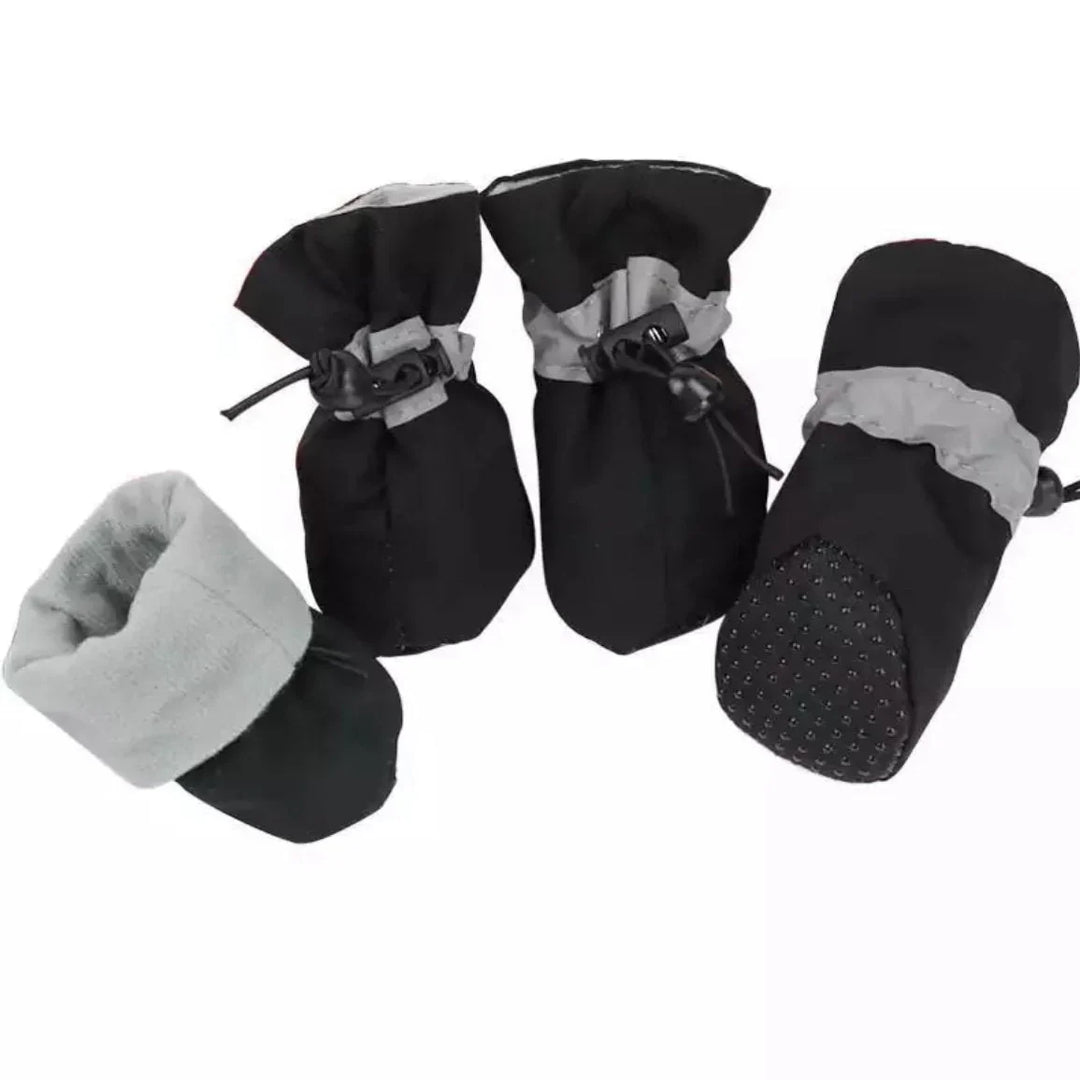 Winter Paw Protection – Paw Walks