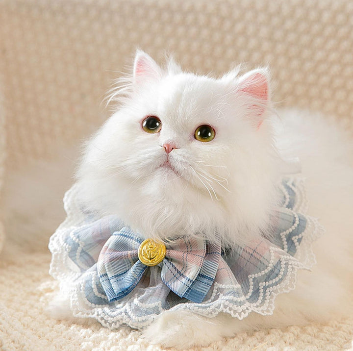 JK Style Lace &amp; Bow Decorative Pet Bib