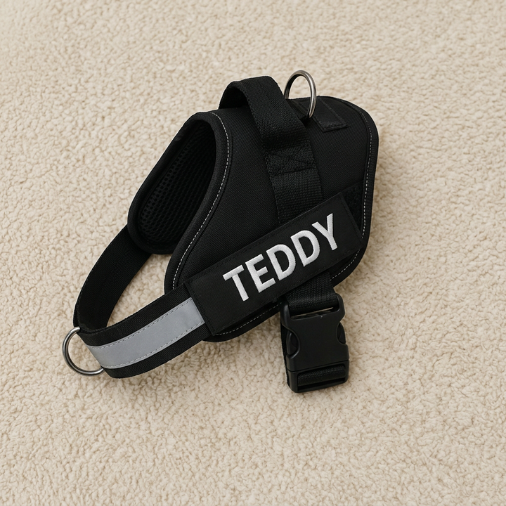 Personalized No-Pull Dog Harness with Front D-Ring – Designed for Neck &amp; Shoulder Relief