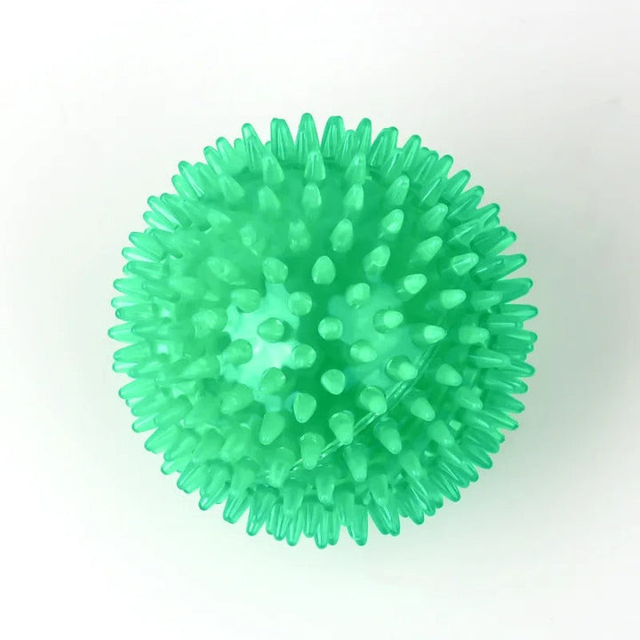 Chewing Toy Spike Balls Accessories