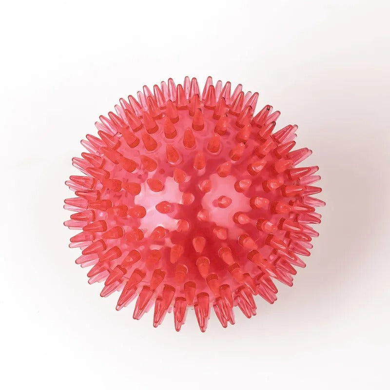 Chewing Toy Spike Balls Accessories