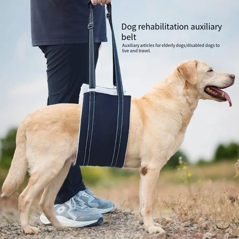 Dog support harness - Adjustable rehabilitation belt