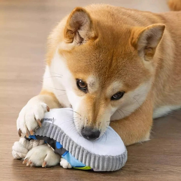 Squeaky slipper with sturdy cotton rope – dental care &amp; fun for dogs