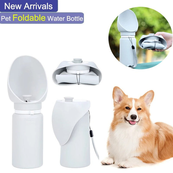 FoldSip Pet Cup