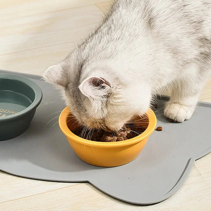 AquaShield Pet Mat