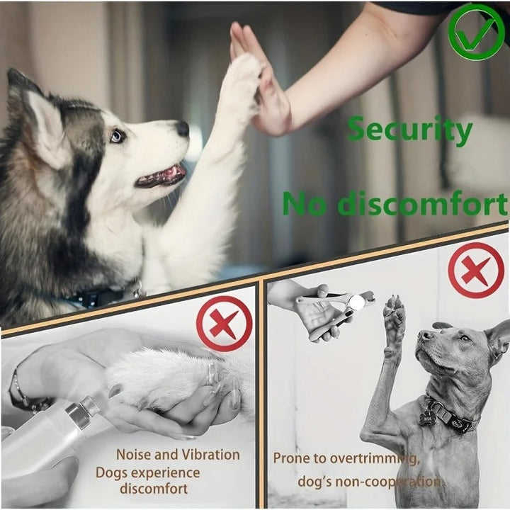 Paw Perfect Scratch &amp; Groom