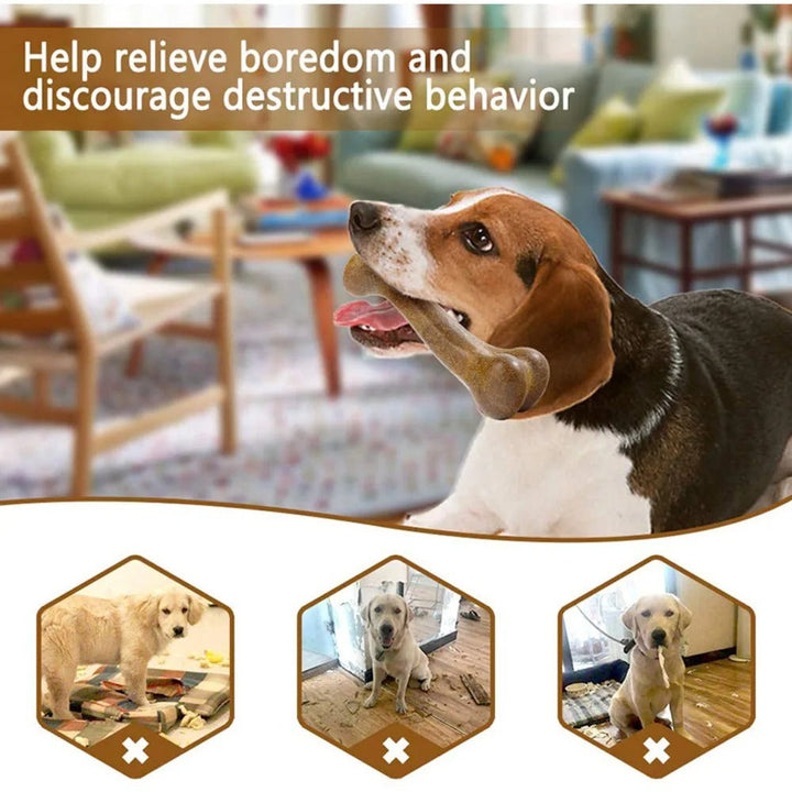 ChewBone – The Safe &amp; Durable Chew Toy for Happy Dogs!