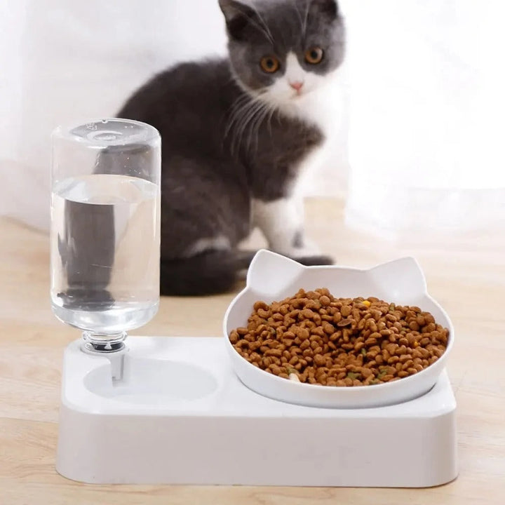 Dual-Purpose Tilted Pet Bowl