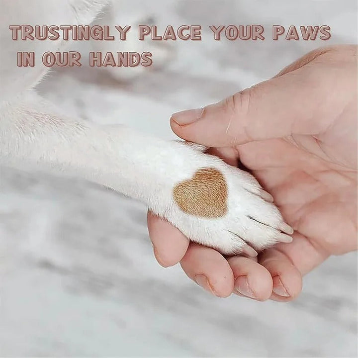 Paw Perfect Scratch &amp; Groom