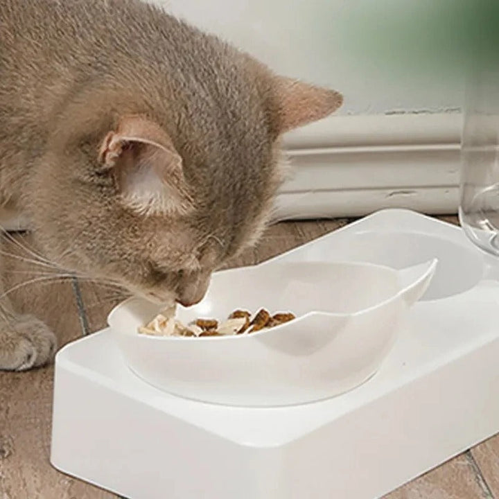 Dual-Purpose Tilted Pet Bowl