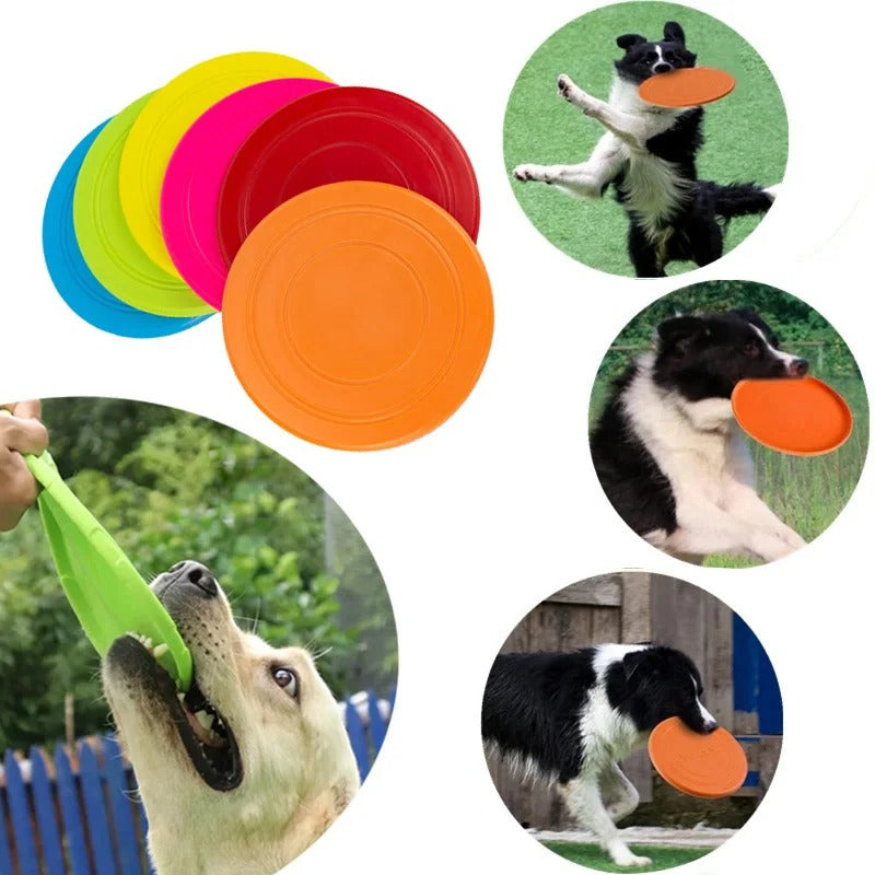 Flying Discs Dog Toy