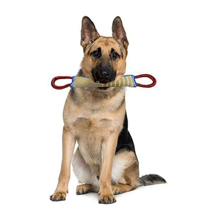 Chew Sticks &amp; Chew Pads