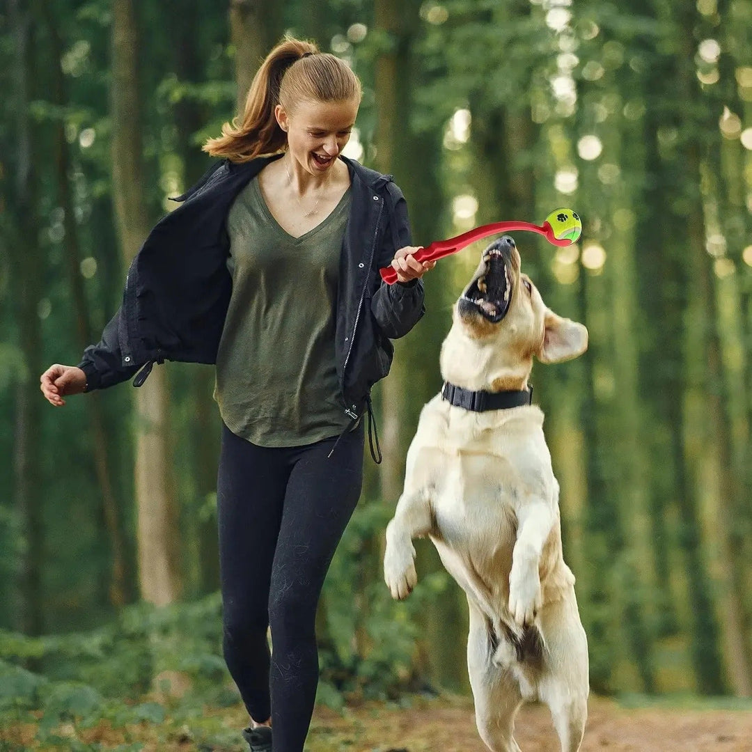 FetchStick – The Ultimate Throwing Stick for Dogs!