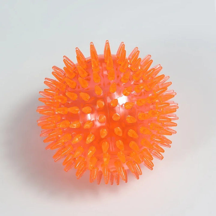Chewing Toy Spike Balls Accessories