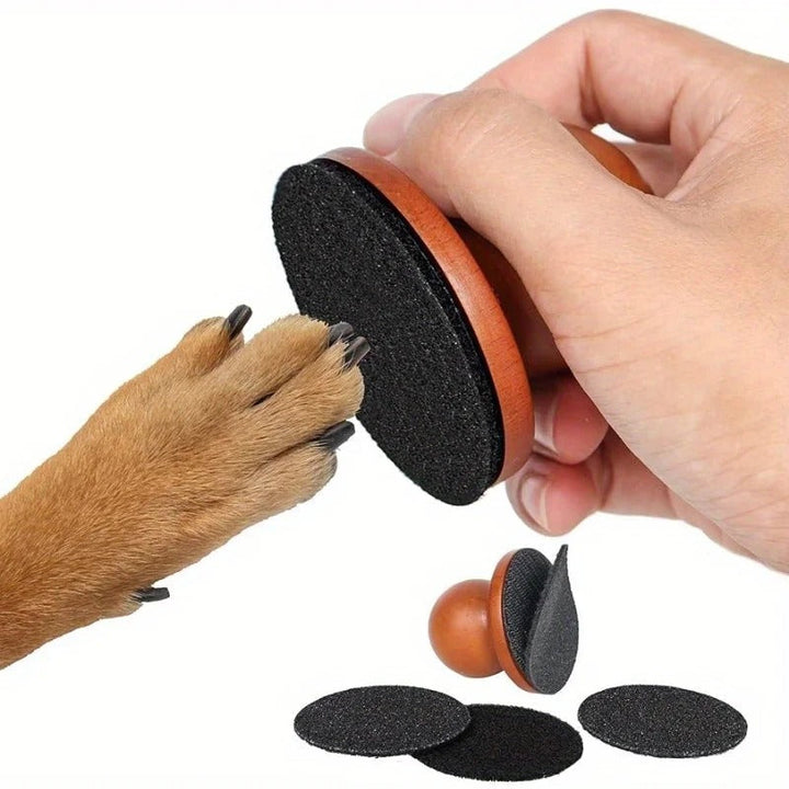 Paw Perfect Scratch &amp; Groom