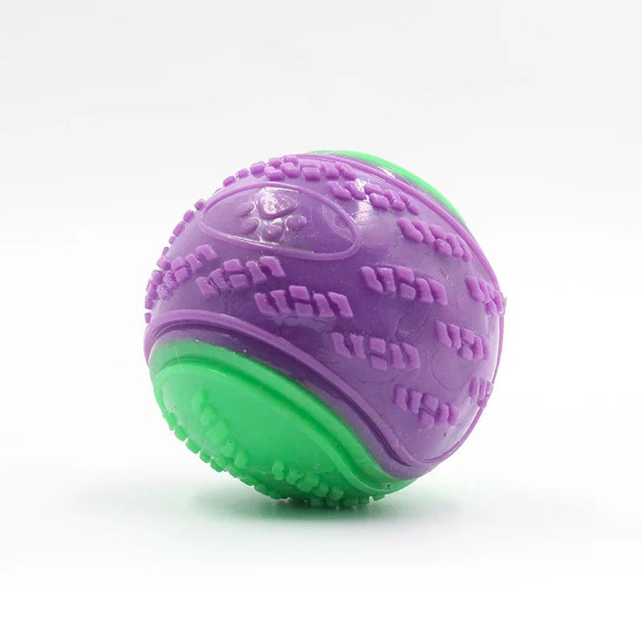 Soft TPR Dog Toy