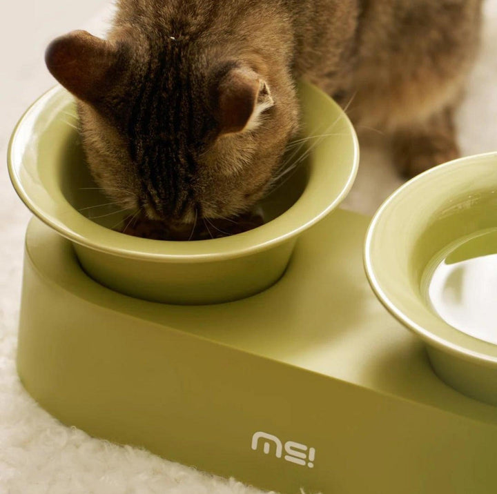 MAKESURE Jingle 2-in-1 Ceramic Pet Bowl Set for Food &amp; Water Cat Bowls