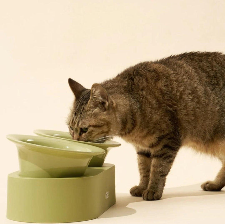 MAKESURE Jingle 2-in-1 Ceramic Pet Bowl Set for Food &amp; Water Cat Bowls