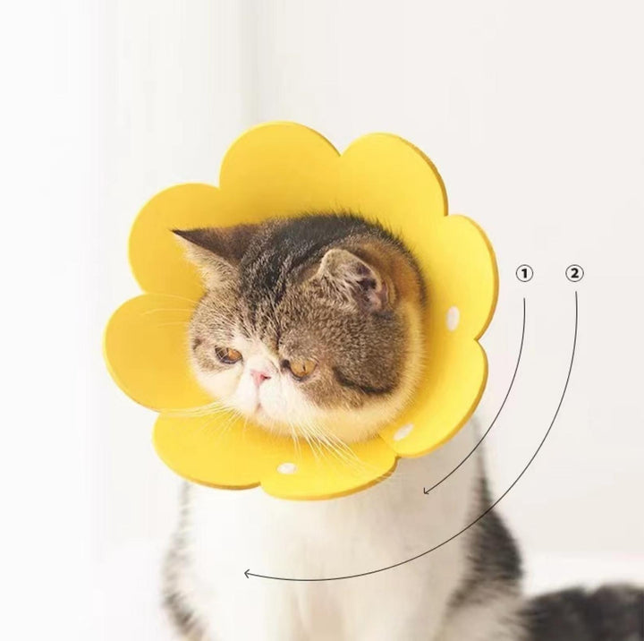 Meoof Sunflower E-Collar - Lightweight &amp; Stylish for Cats &amp; Dogs